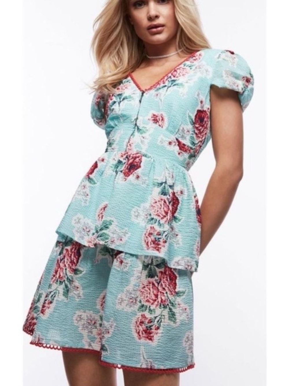 Betsey Johnson Rose Garden Seersucker Tea Dress NWT L